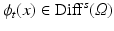 $$\phi _t(x) \in \mathrm{Diff}^s(\varOmega )$$