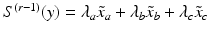 $$S^{(r-1)}(y) = \lambda _a\tilde{x}_a + \lambda _b\tilde{x}_b + \lambda _c\tilde{x}_c$$