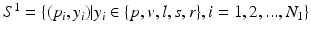 $$S^1=\{(p_i,y_i)|y_i\in \{p,v,l,s,r\}, i=1,2,...,N_1\}$$