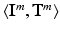 $$\langle \mathbf {I}^m, \mathbf {T}^m\rangle $$