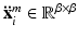 $$\mathbf {\ddot{x}}_i^m \in \mathbb {R}^{\beta \times \beta }$$