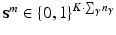 $$\mathbf {s}^m \in \{0,1\}^{K \cdot \sum _{\gamma } n_{\gamma }}$$