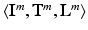 $$\langle \mathbf {I}^m, \mathbf {T}^m, \mathbf {L}^m \rangle $$