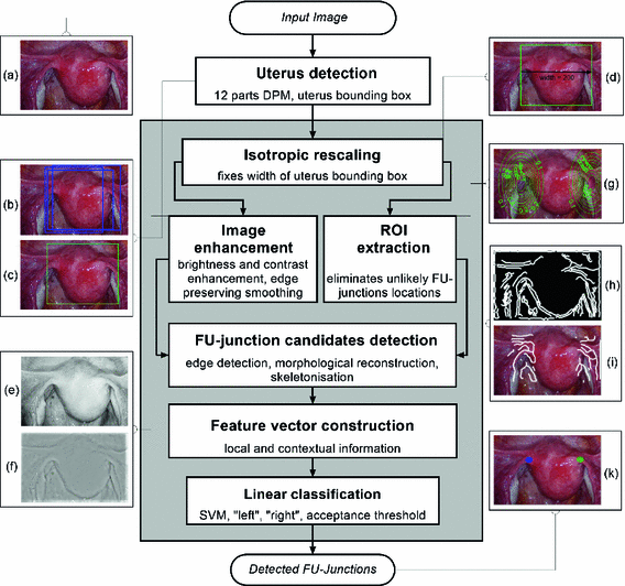 A339424_1_En_43_Fig3_HTML.gif