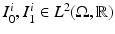 $$I^i_0, I^i_1 \in L^2(\Omega , \mathbb {R})$$