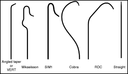 Spinal Angiography Radiology Key