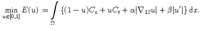 $$\begin{aligned} \min _{u\in [0,1]}E(u)\mathbin {:=}\int \limits _{\Omega }\left\{ (1-u)C_{s}+uC_{t}+\alpha |{{\mathrm{\nabla _{{12}}}}}u|+\beta |u^{\prime }|\right\} {\mathrm{{d}}}{x}. \end{aligned}$$