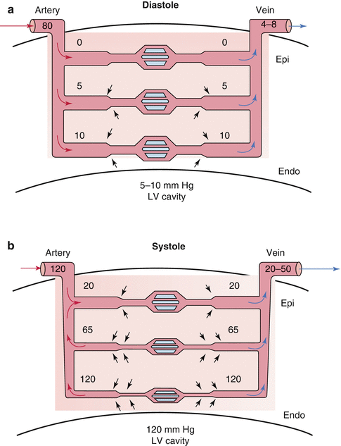 A312522_1_En_2_Fig2_HTML.gif