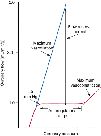 Physiology Of Coronary Blood Flow Radiology Key