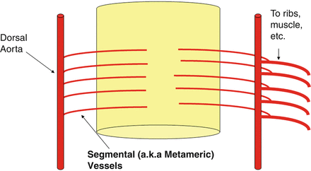 A978-1-4614-9029-6_15_Fig3_HTML.gif