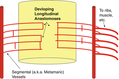 A978-1-4614-9029-6_15_Fig4_HTML.gif