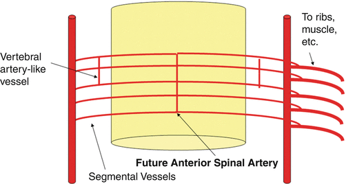 A978-1-4614-9029-6_15_Fig5_HTML.gif