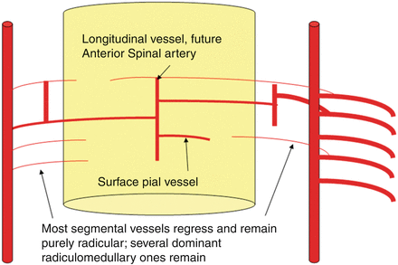 A978-1-4614-9029-6_15_Fig6_HTML.gif