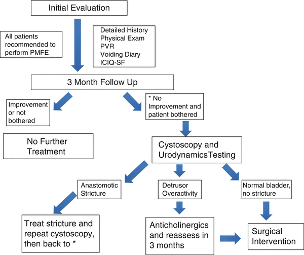 Postoperative Management and Preoperative Considerations: Urinary ...