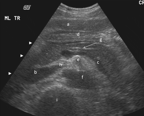 Final Assessment | Radiology Key