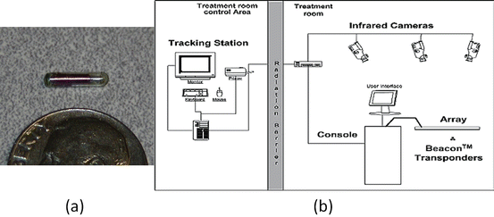 A340376_1_En_11_Fig2_HTML.gif