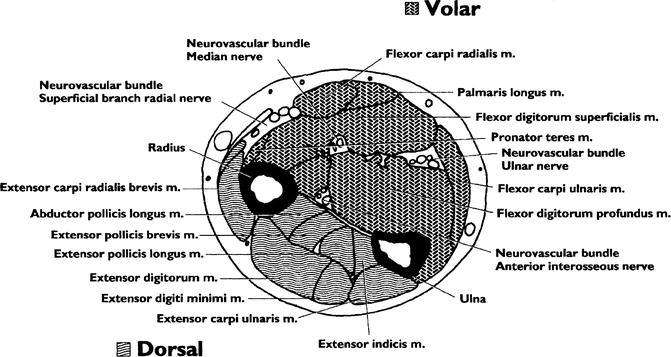 A44917_4_En_7_Fig2_HTML.jpg