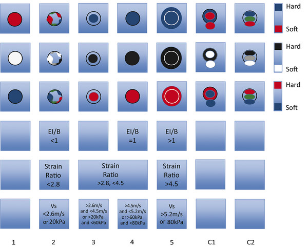 Elastography of the Breast | Radiology Key