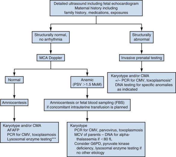 evaluation-of-hydrops-fetalis-radiology-key