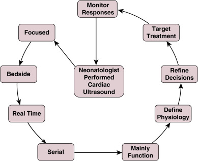 Point of Care Ultrasound in the Assessment of the Neonatal ...