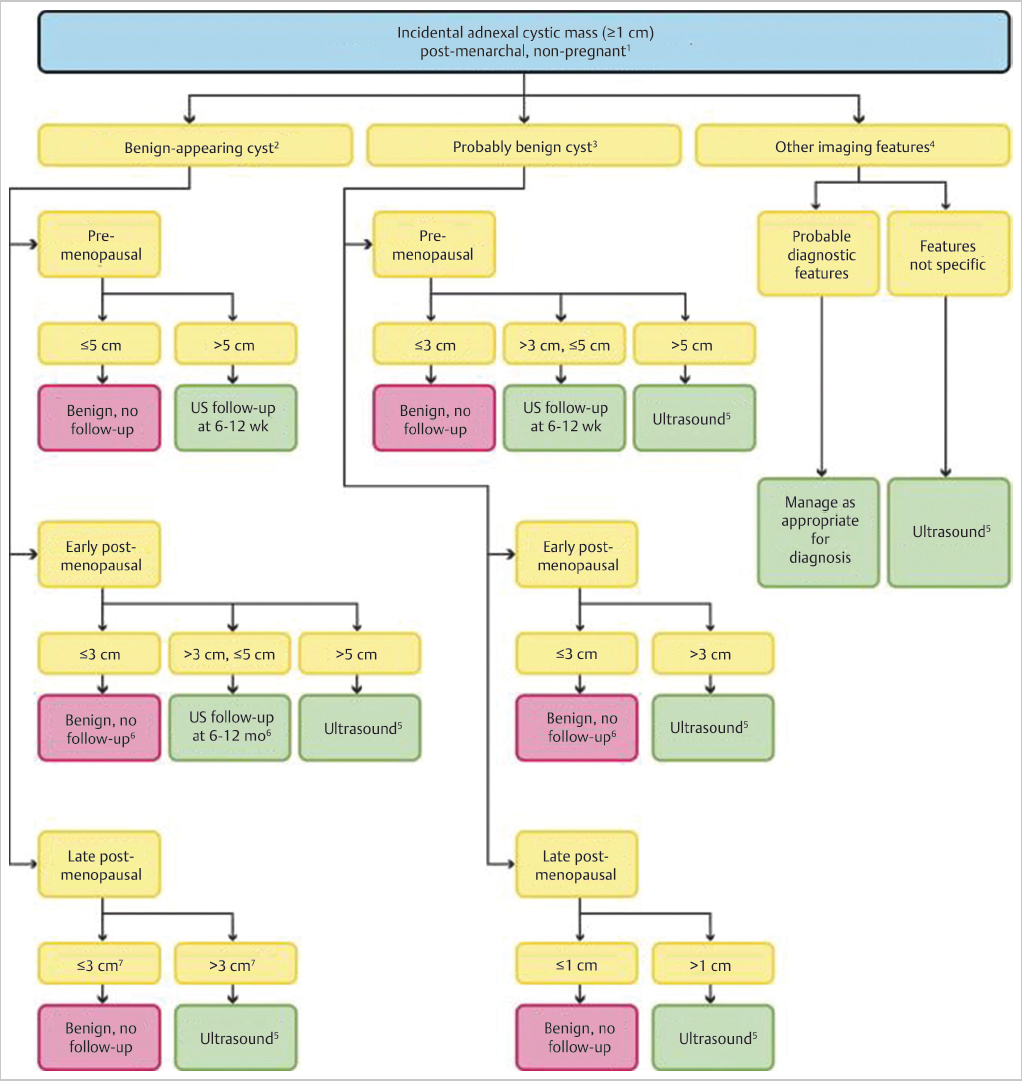 40 Incidental Pelvic Mass | Radiology Key