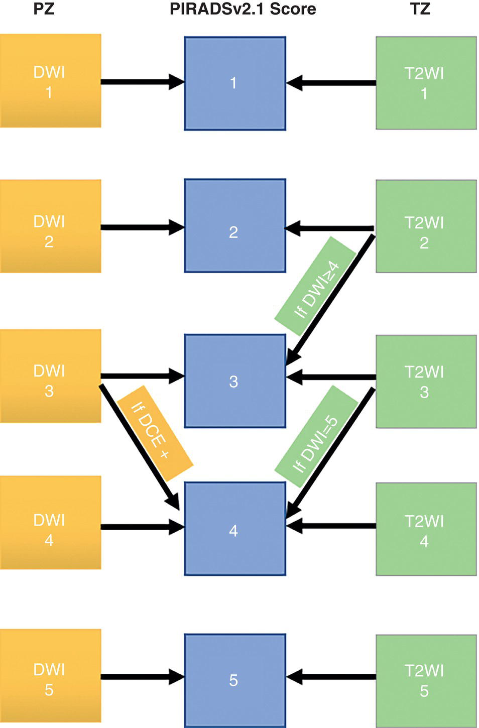 Schematic illustration of pI-RADS v2.1 scoring schematic in the peripheral zone (PZ) and transition zone (TZ).