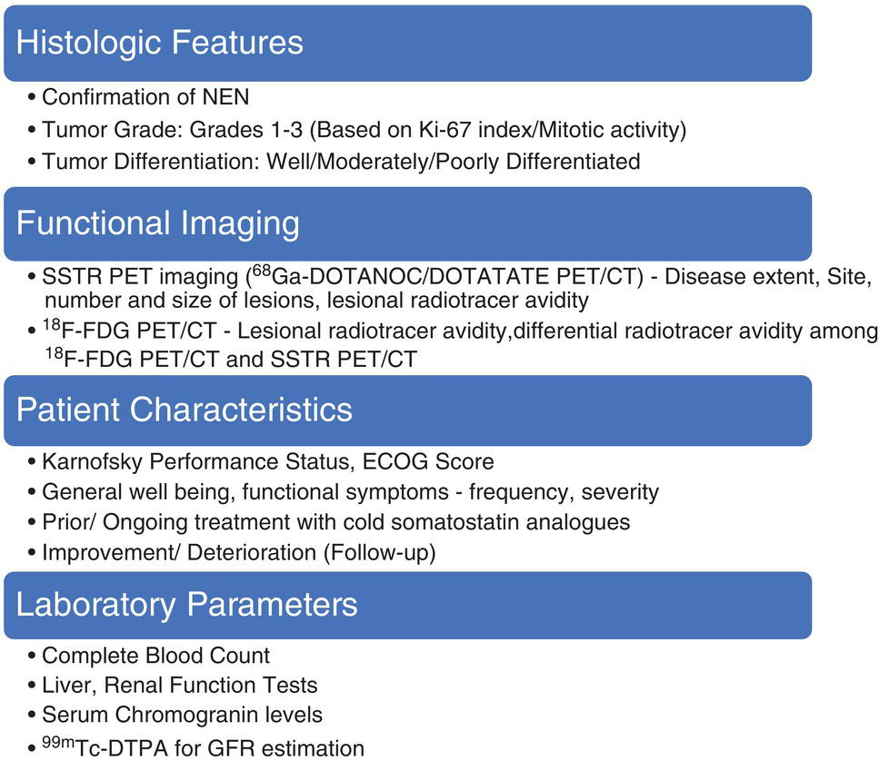 Schematic illustration of checklist for PRRT planning.