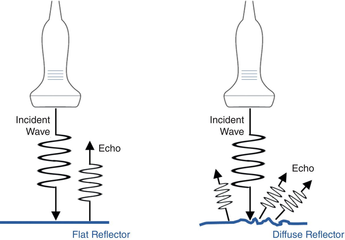 Two schematic diagrams are labeled as flat reflector and diffuse reflector. A Flat reflector contains an incident wave directed downwards and an echo directed upwards. Diffuse reflector contains an incident wave directed downwards and three echoes scattered upwards.