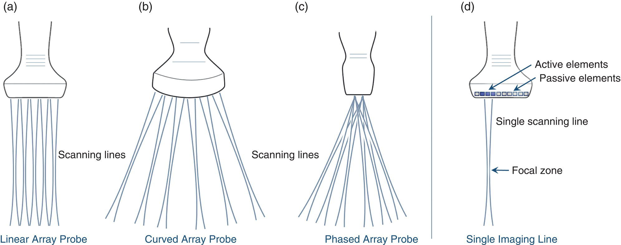 Four schematic diagrams. a. Linear array probe with five scanning lines in vertical form. b. Curved array probe with six scanning lines in scattered form. c. phased array probe with six scanning lines. d. Single imaging line containing active elements, passive elements, and focal zone.