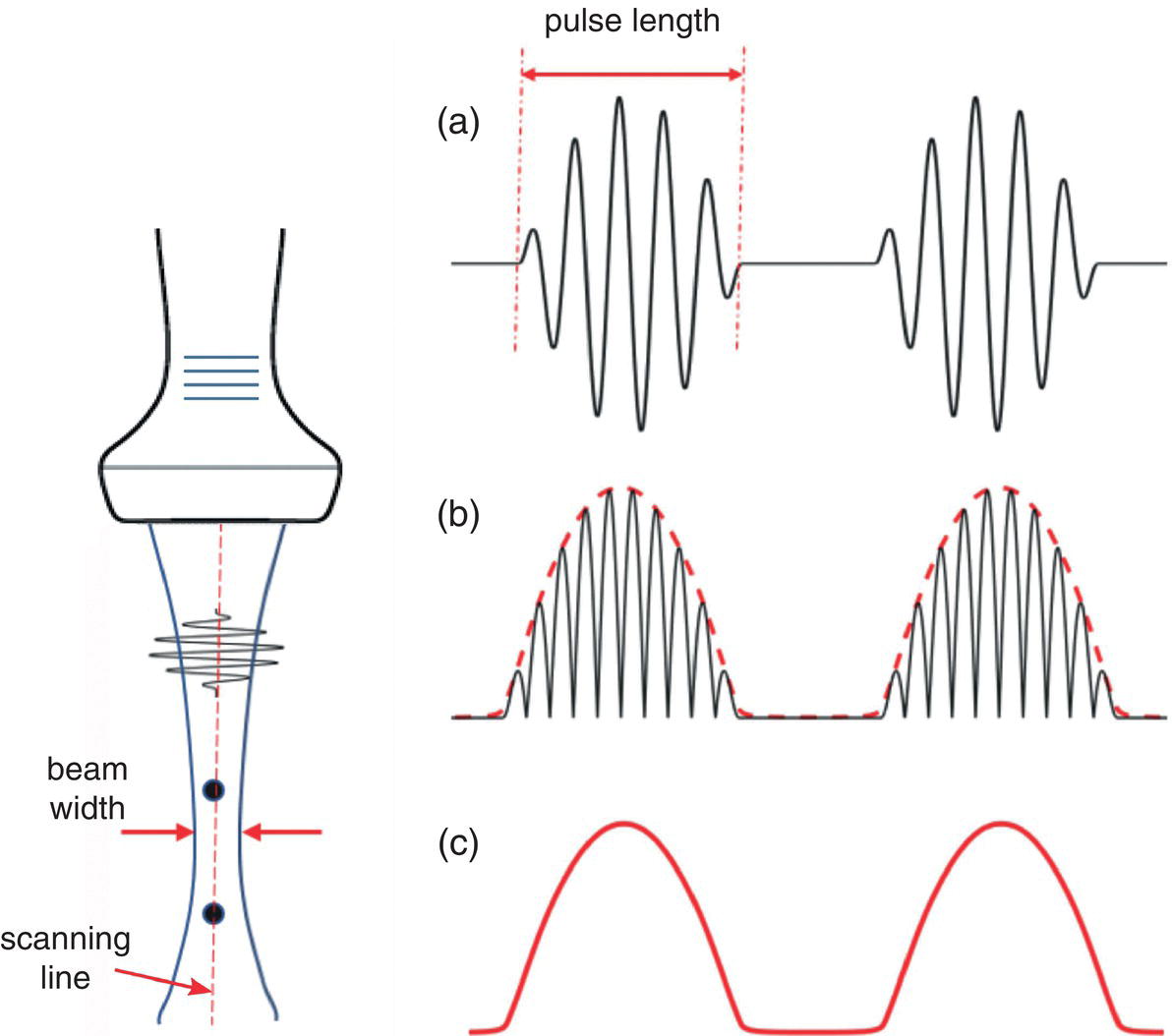 A schematic diagram contains the following. a. Two parallel waves with pulse length. b. The amplitude modulated sign wave. c. The extracted envelope for the image display. A pulsed ultrasound beam to image two point sources along one scanning line on the left.