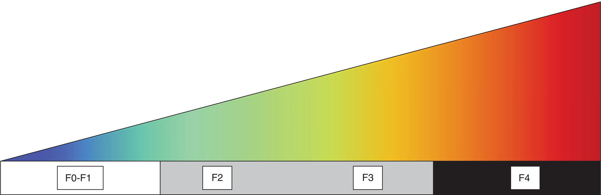 An elastography scale with four stages labeled as follows. 1. F 0 to F 1. 2. F 2. 3. F 3. 4. F 4. The grey zone indicates lower diagnostic accuracy.