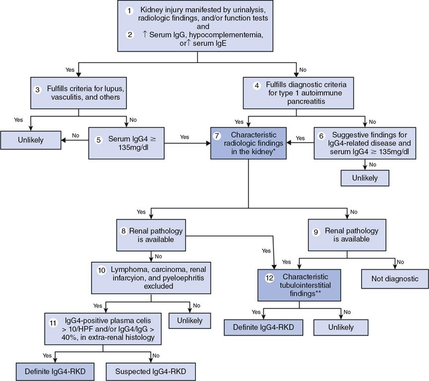 IgG4-related disease | Radiology Key