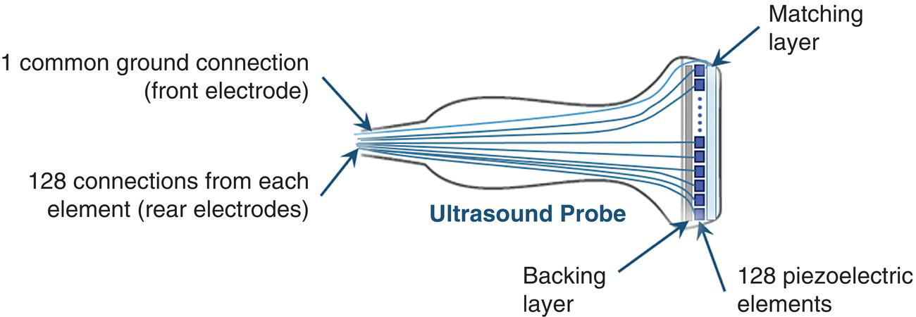 A schematic diagram of an array transducer includes the following. Matching layer, 128 piezoelectric elements, backing layer, 128 connections from each element, 1 common ground connection along with ultrasound probe.