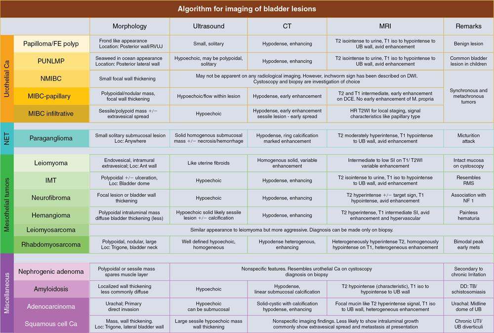 Approach based algorithms | Radiology Key