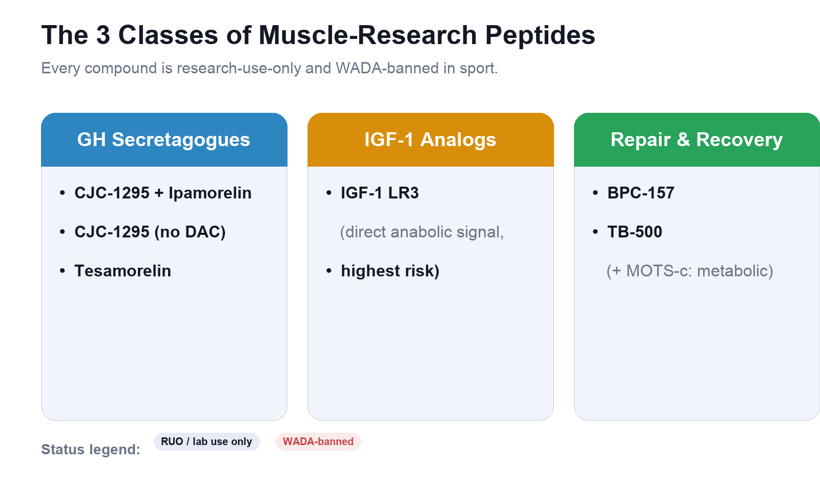 does liver produce glutathione A Literature Review of Therapy in Ameliorating Hepatic Dysfunction in Non-Alcoholic Fatty Disease Size:20mg BPC-157 for Dogs: Orthopedic Immunity Support